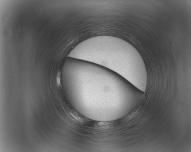 X0000060260095200510281020