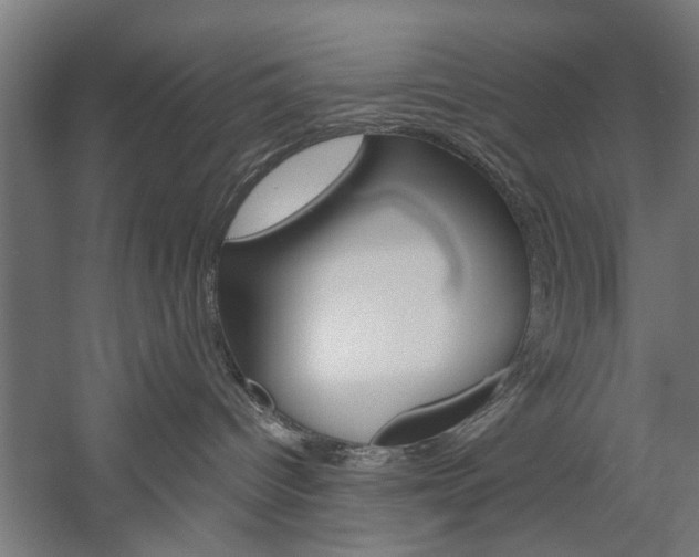 X0000060260096200510281020