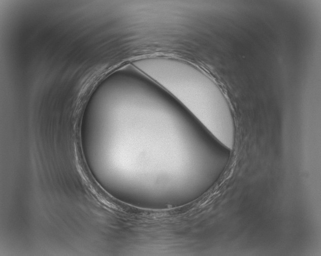 X0000060260097200510281019