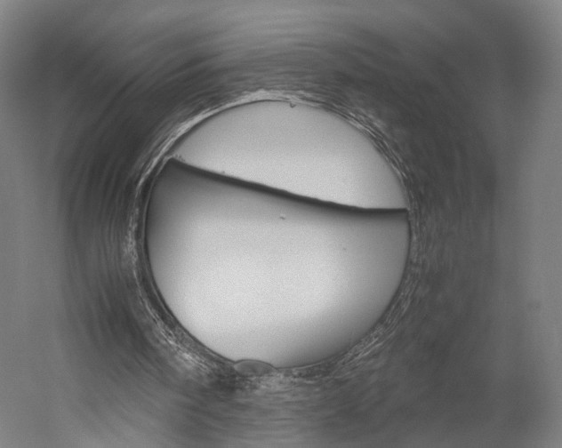 X0000060260098200510281019