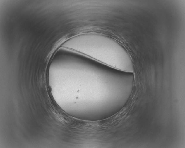 X0000060260099200510281019