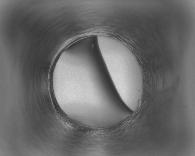 X0000060260100200510281019