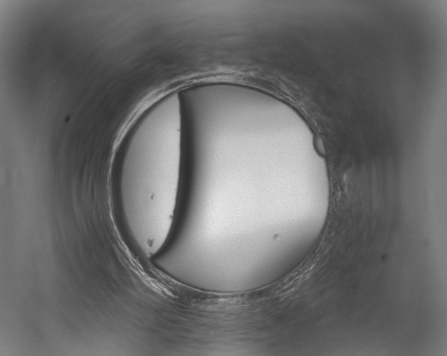 X0000060260102200510281019