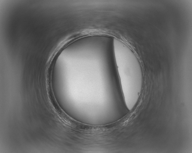 X0000060260103200510281019