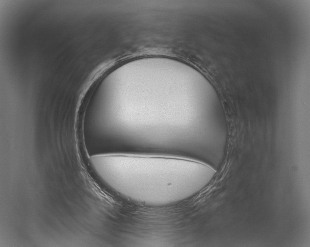 X0000060260104200510281019