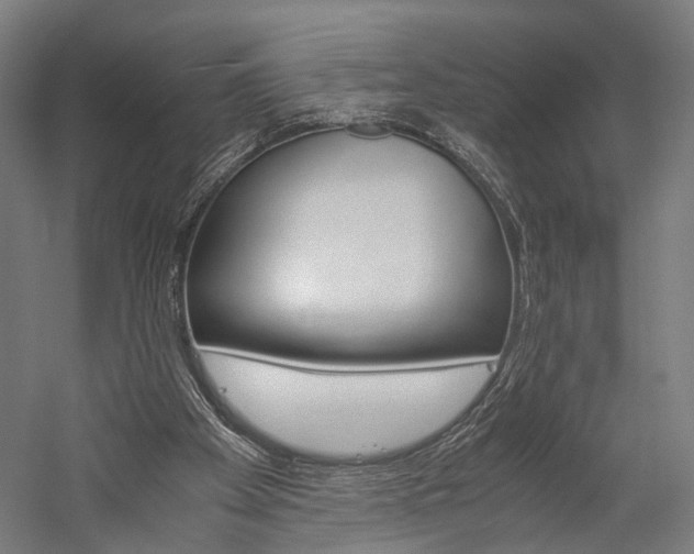 X0000060260105200510281019