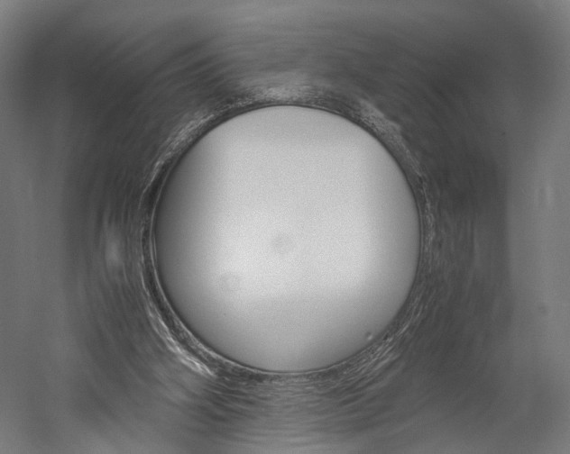 X0000060260106200510281019