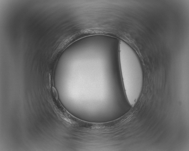 X0000060260109200510281019