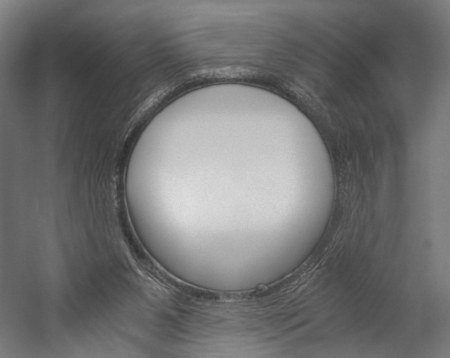 X0000060260111200510281019