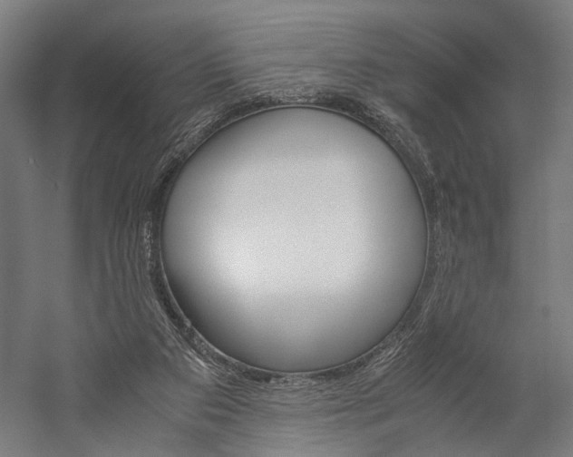 X0000060260113200510281019