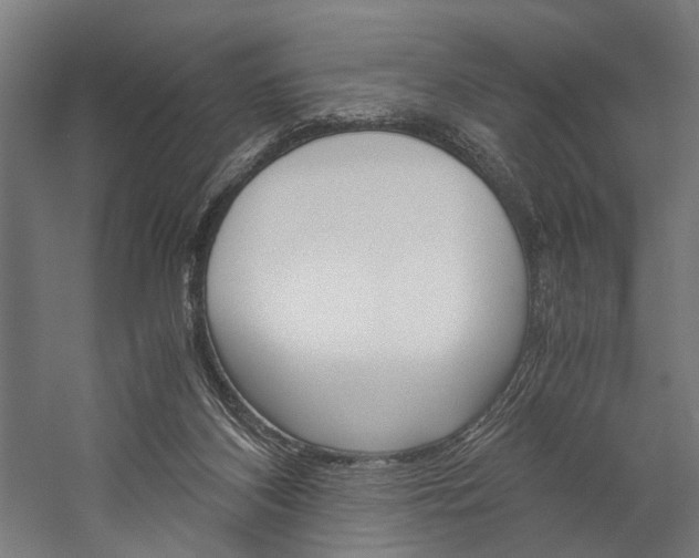 X0000060260116200510281019