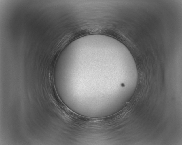 X0000060260117200510281019