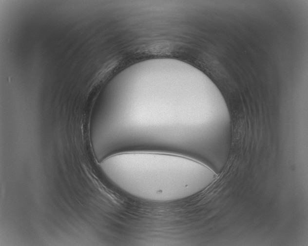 X0000060260120200510281019