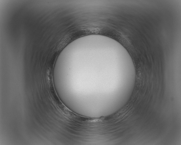 X0000060260122200510281019