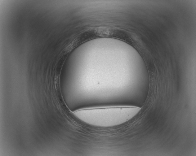 X0000060260125200510281019