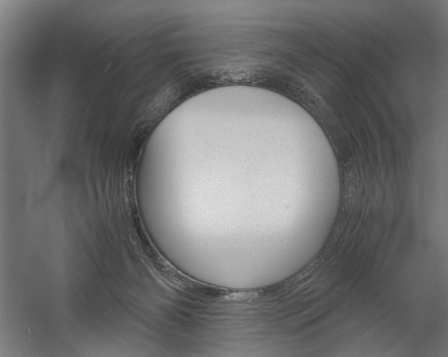 X0000060260126200510281019