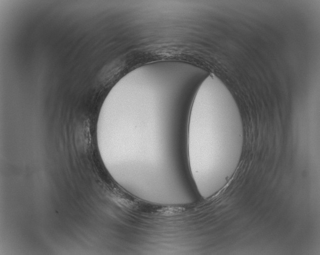 X0000060260128200510281019