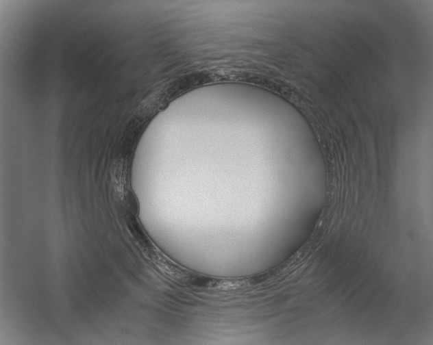 X0000060260129200510281019