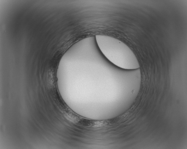 X0000060260130200510281019