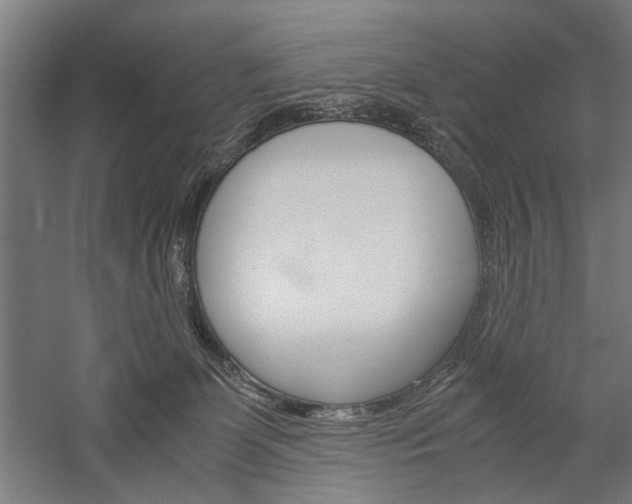 X0000060260131200510281019