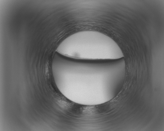 X0000060260132200510281019