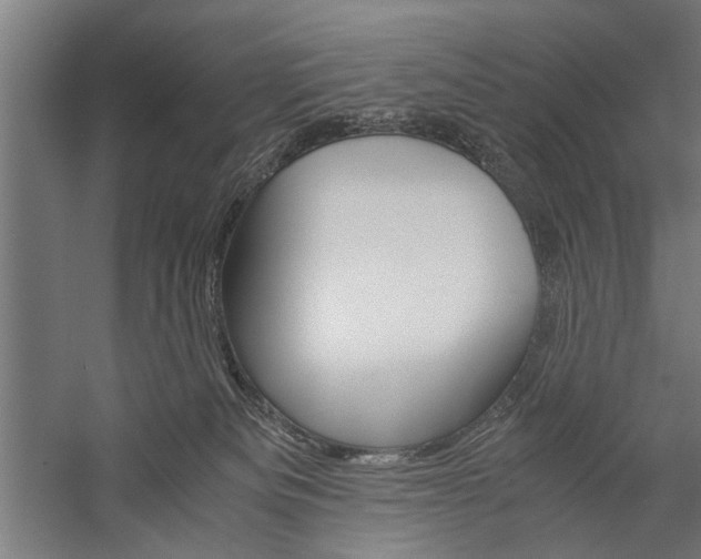 X0000060260133200510281019