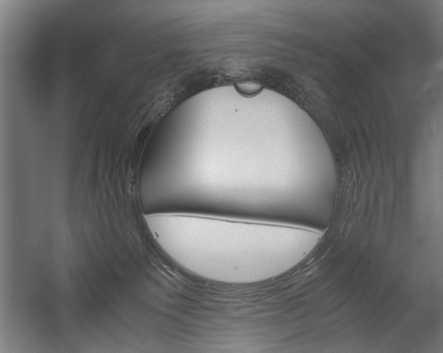 X0000060260135200510281019