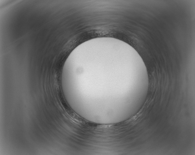 X0000060260136200510281019