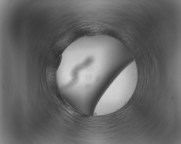 X0000060260137200510281019