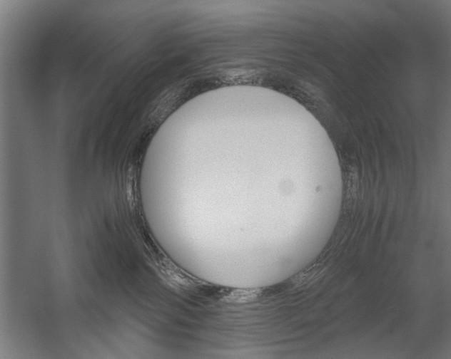 X0000060260138200510281019