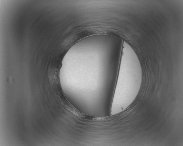 X0000060260141200510281018