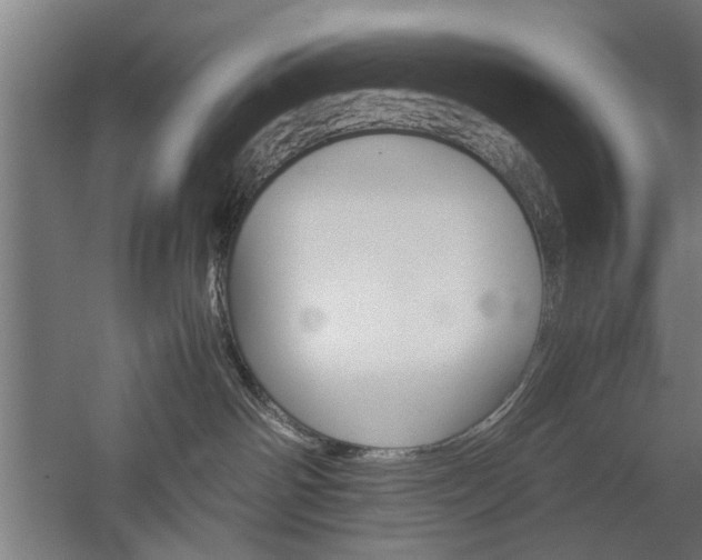 X0000060260142200510281018