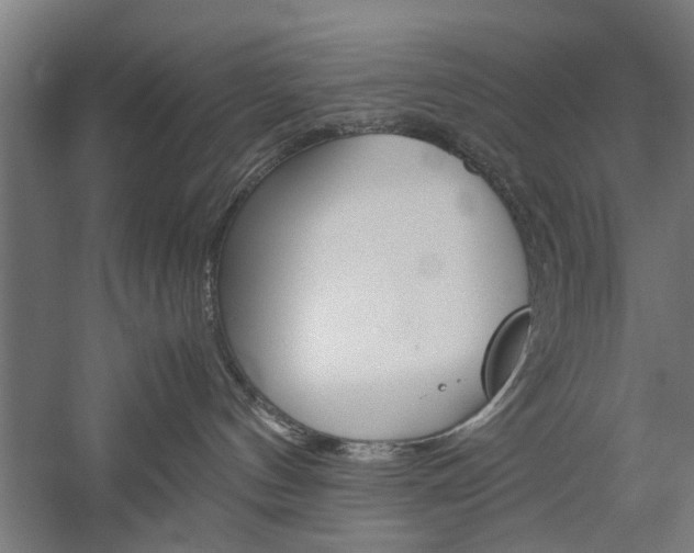 X0000060260144200510281018