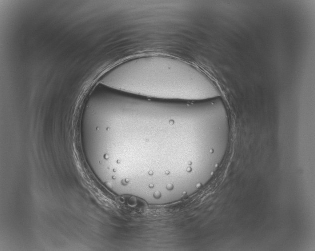 X0000060260145200510281018