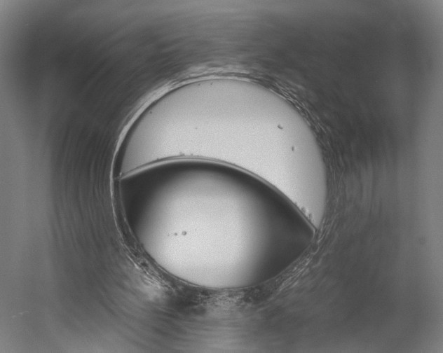 X0000060260148200510281018