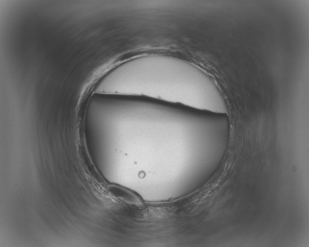 X0000060260149200510281018