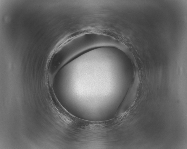 X0000060260150200510281018