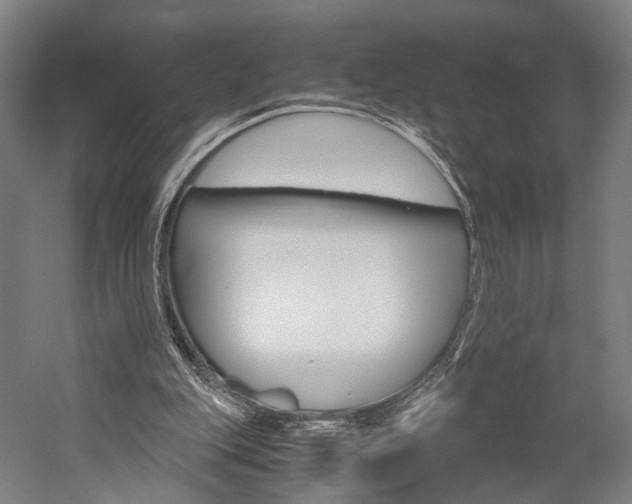 X0000060260151200510281018