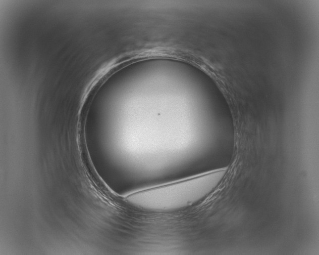 X0000060260152200510281018