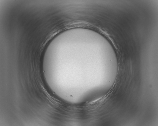 X0000060260154200510281018