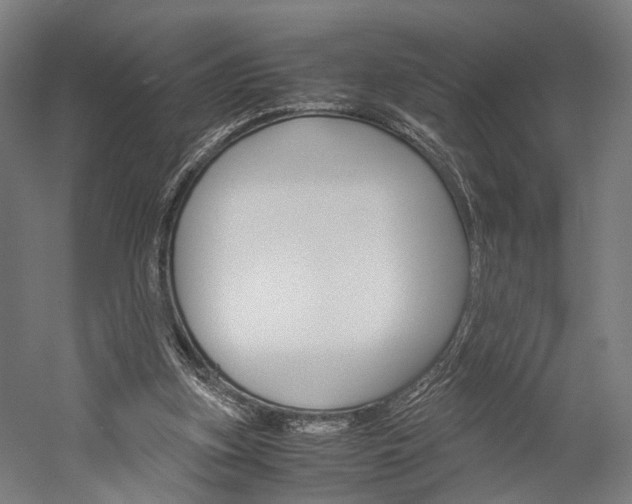 X0000060260155200510281018