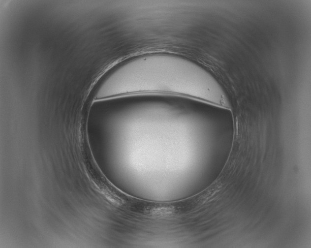 X0000060260156200510281018