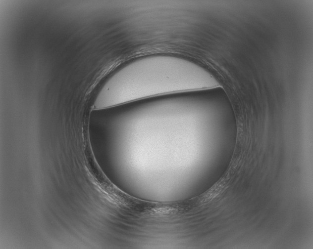 X0000060260158200510281018