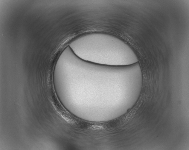 X0000060260159200510281018