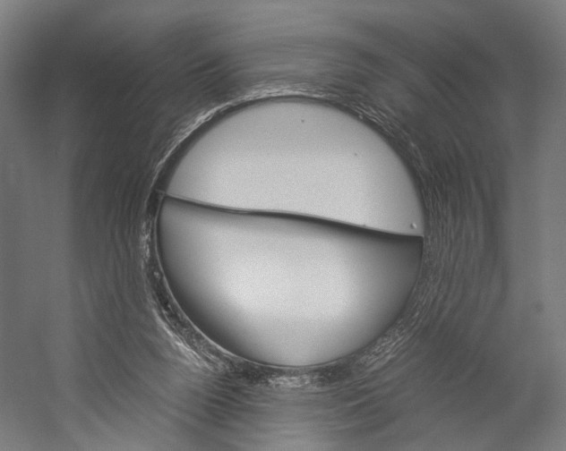 X0000060260160200510281018