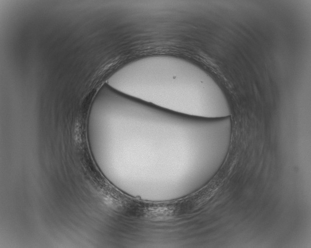 X0000060260161200510281018