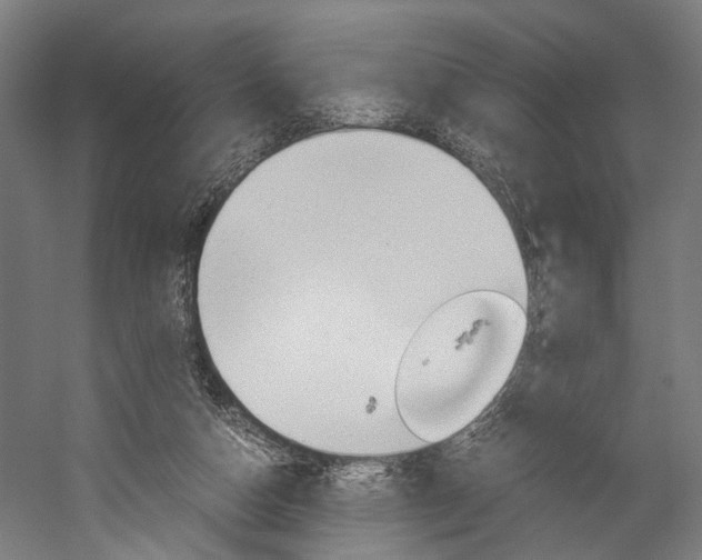 X0000060260162200510281018