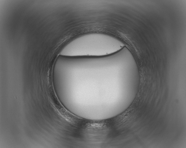 X0000060260163200510281018