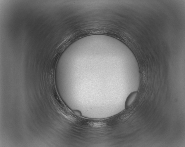 X0000060260165200510281018