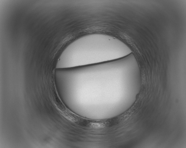 X0000060260167200510281018